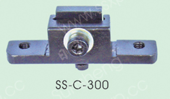 SS-C-300